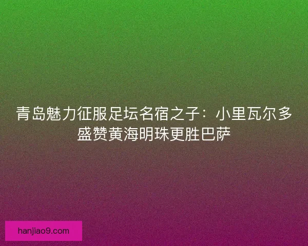 青岛魅力征服足坛名宿之子：小里瓦尔多盛赞黄海明珠更胜巴萨